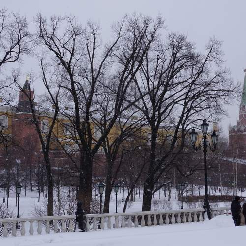 Photo #5833135