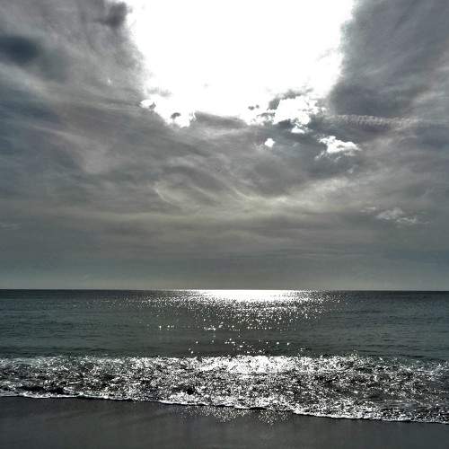 Photo #5833229