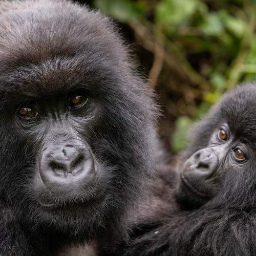 Photo #5833264