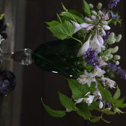 Photo #5833366