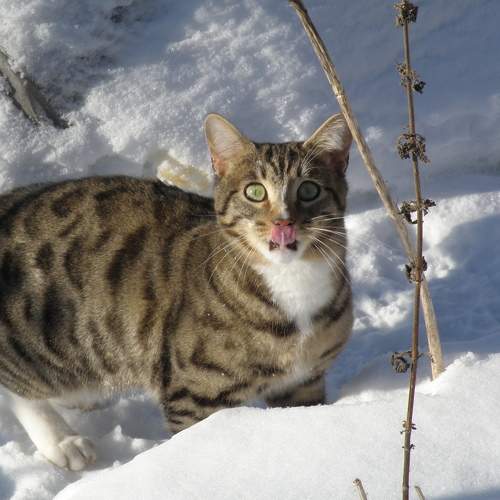 Photo #5833408