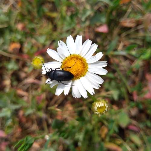 Photo #5833507