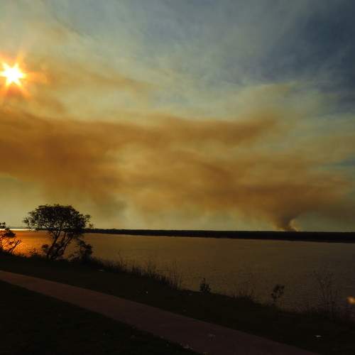 Photo #5833640