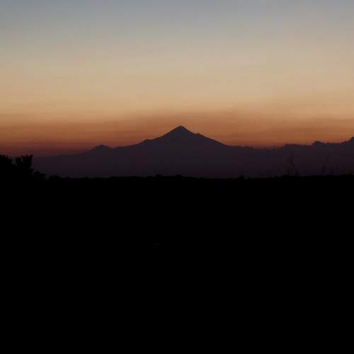 Photo #5833698