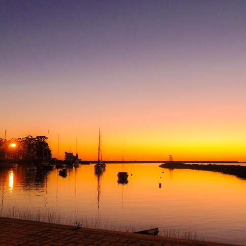 Photo #5833876