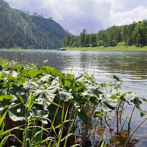 Река Мана