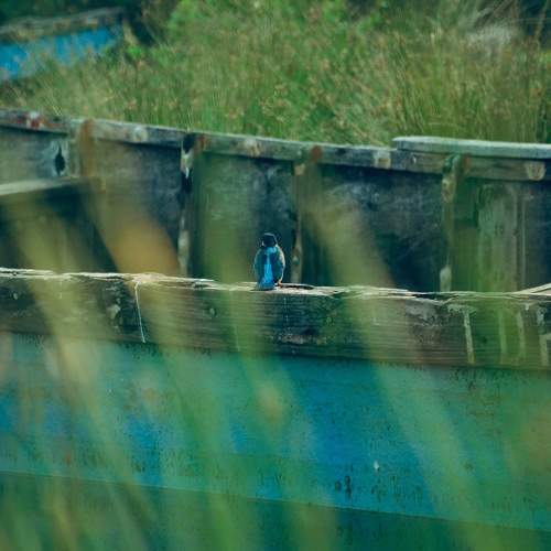 Photo #5833929