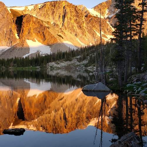 Photo #5834156