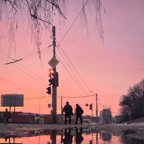 Photo #5834291