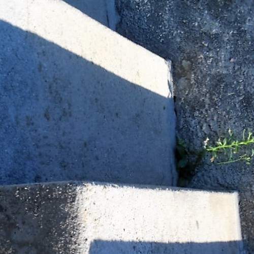 Photo #5834606