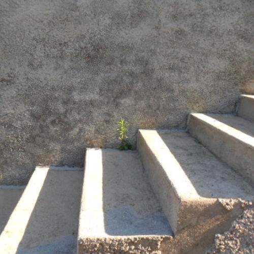 Photo #5834633