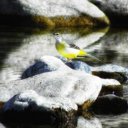 Photo #5834808