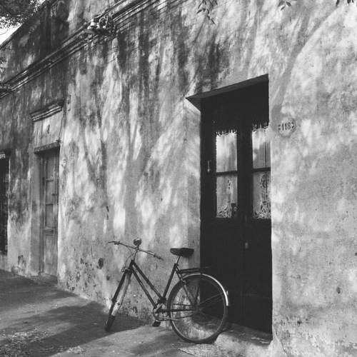 Photo #5834819