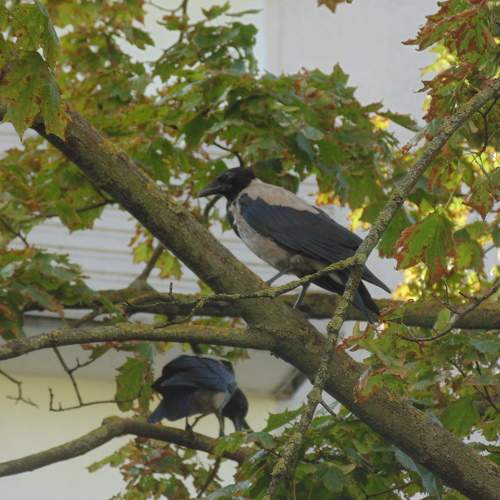 Photo #5834861