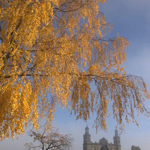 Photo #5835056