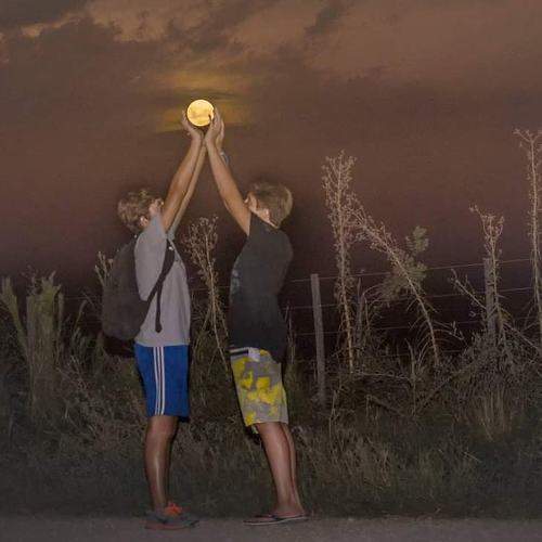 Photo #5835211