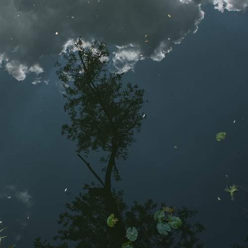 Photo #5835272