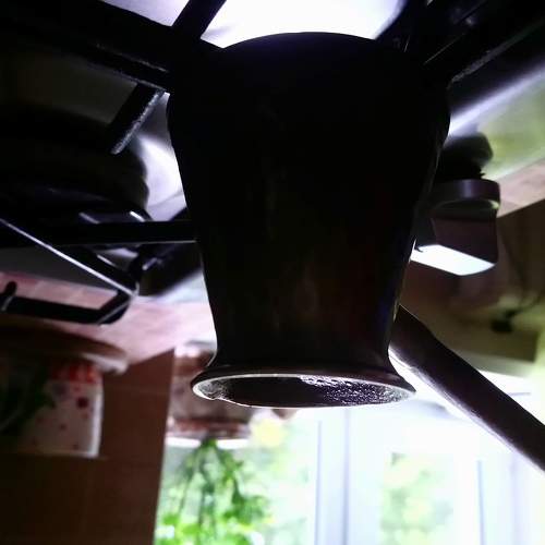 Photo #5835419