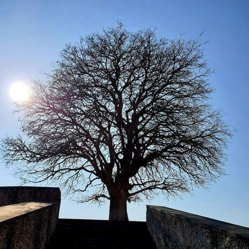 Photo #5835478