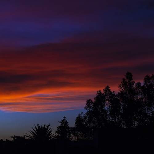Photo #5835530