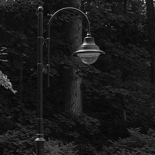 Photo #5835660