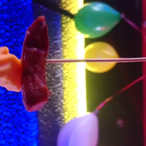 Photo #5835673