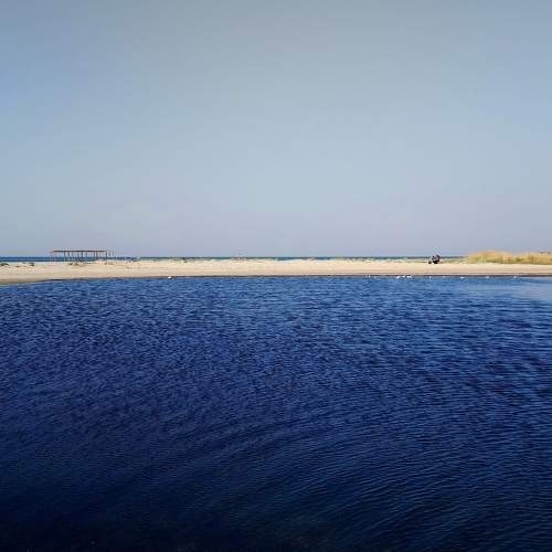 Photo #5835700
