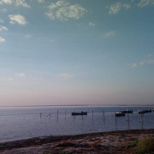 Photo #5835800