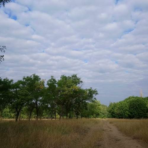 Photo #5835867