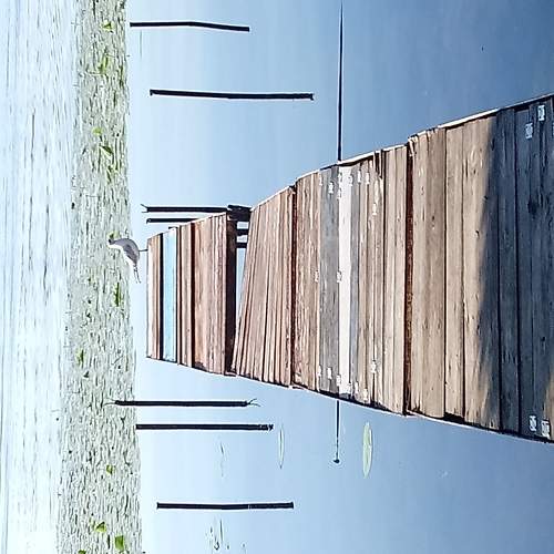 Photo #5835979