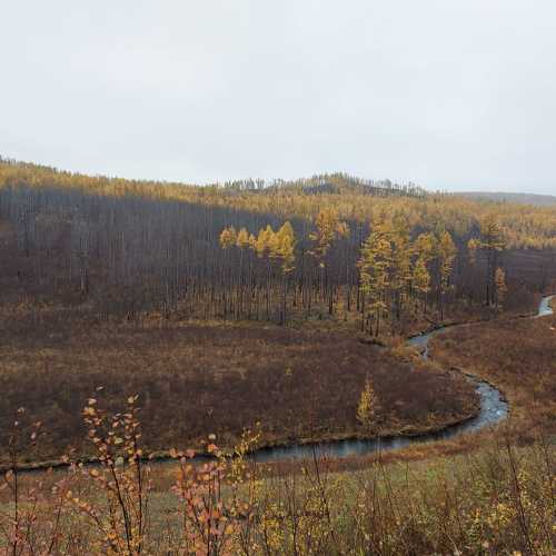 Photo #5836078