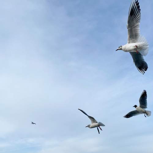 Photo #5836250