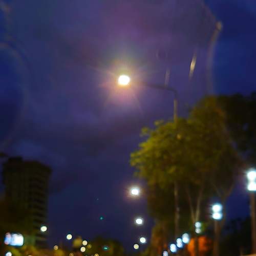 Photo #5836321