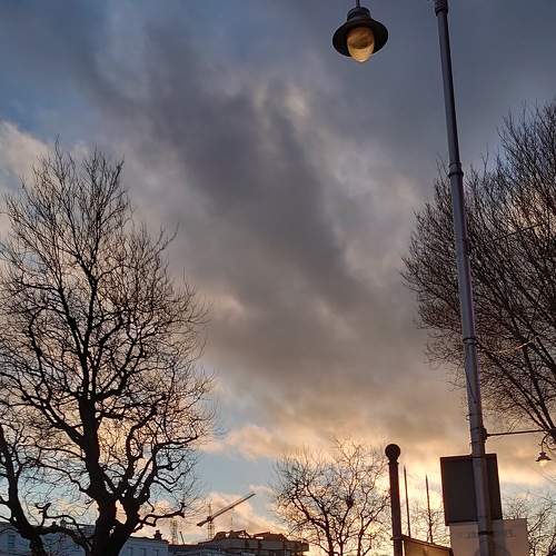 Photo #5836446