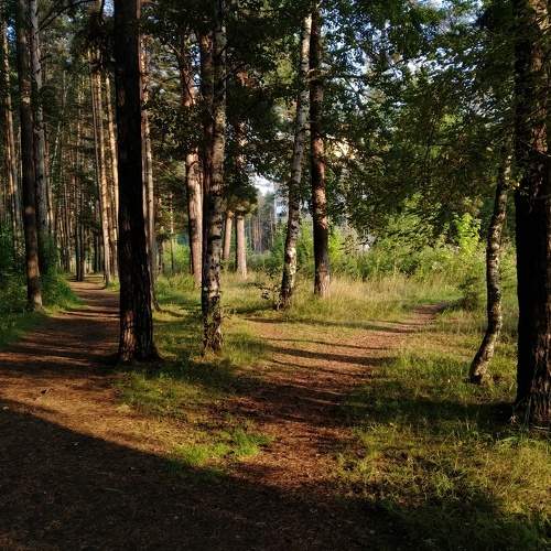 Photo #5836458