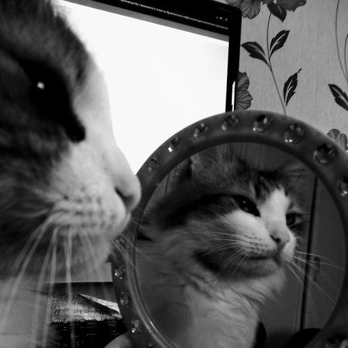 Photo #5836507