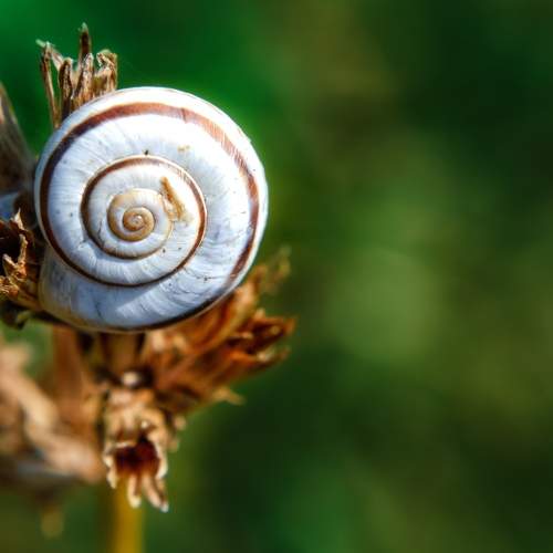 Photo #5836521