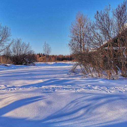 Photo #5837032