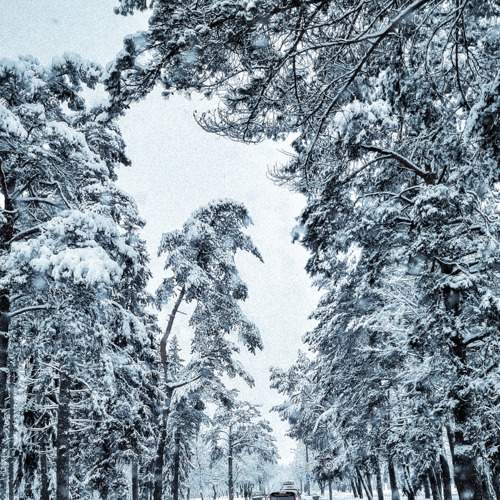 Photo #5837220