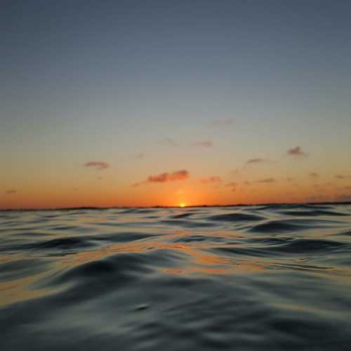 Photo #5837247