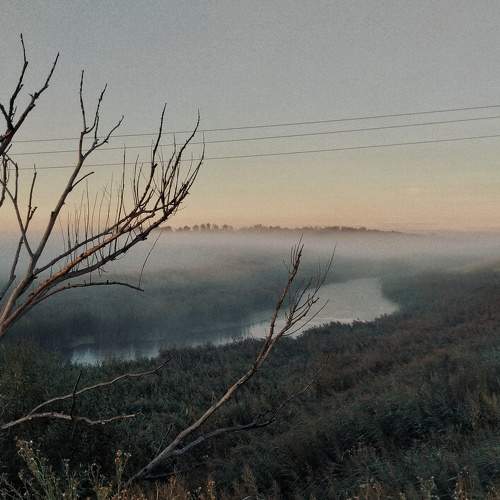 Photo #5837550