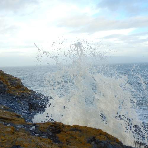 Photo #5837568