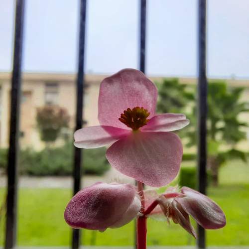 Photo #5837598