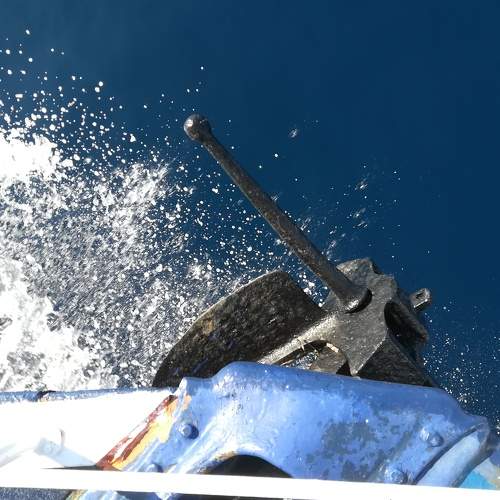 Photo #5837894