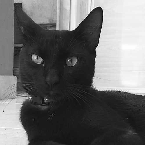 Photo #5838297