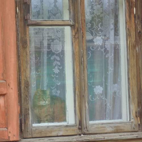 Photo #5838357