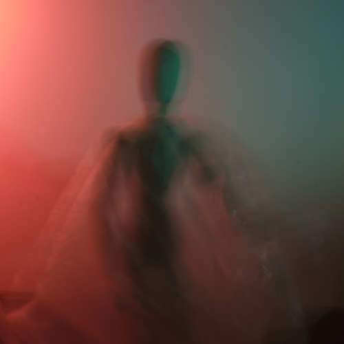Photo #5838668