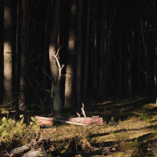 Photo #5838690