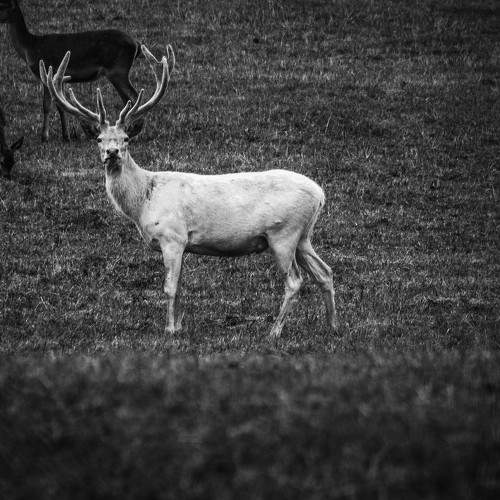 Photo #5838719