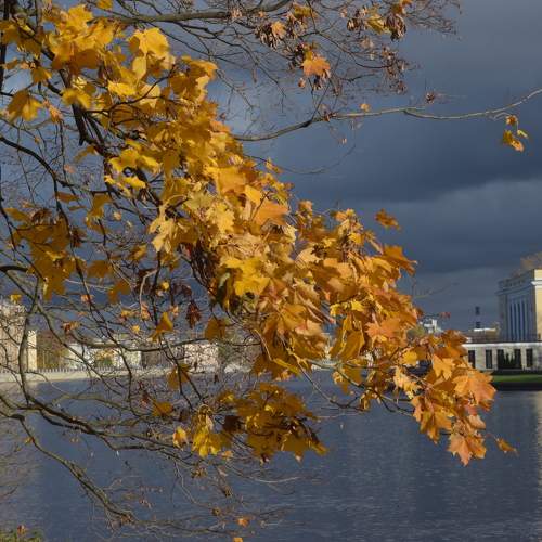 Photo #5838777